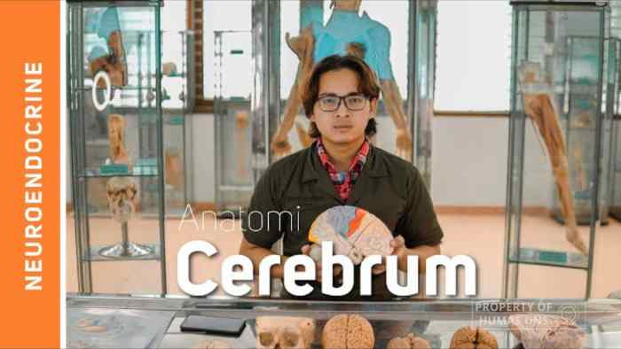 Muhana Dokter Fresh Graduate UNS Punya 15 Publikasi Terindeks Scopus